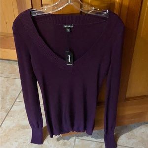 Express Deep V-Neck Sweater - Plum